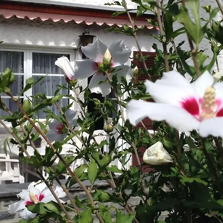 Сasa de vacaciones Casa Franci