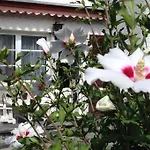 Casa de Férias Casa Franci